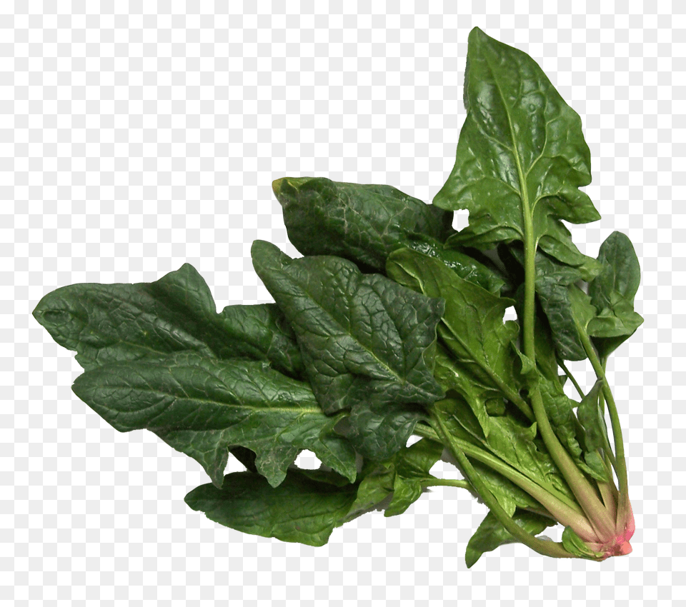 Spinach, Food, Leafy Green Vegetable, Plant, Produce Png