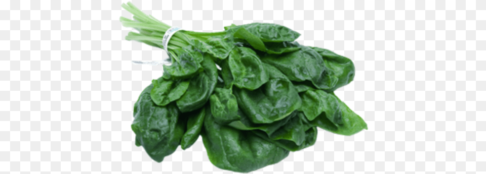 Spinach, Food, Leafy Green Vegetable, Plant, Produce Free Png