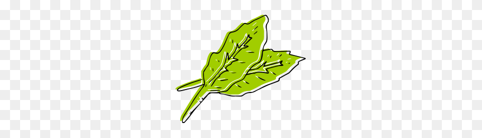 Spinach, Leaf, Plant Png Image