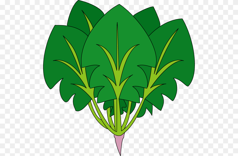 Spinach, Leaf, Plant, Food, Produce Png Image