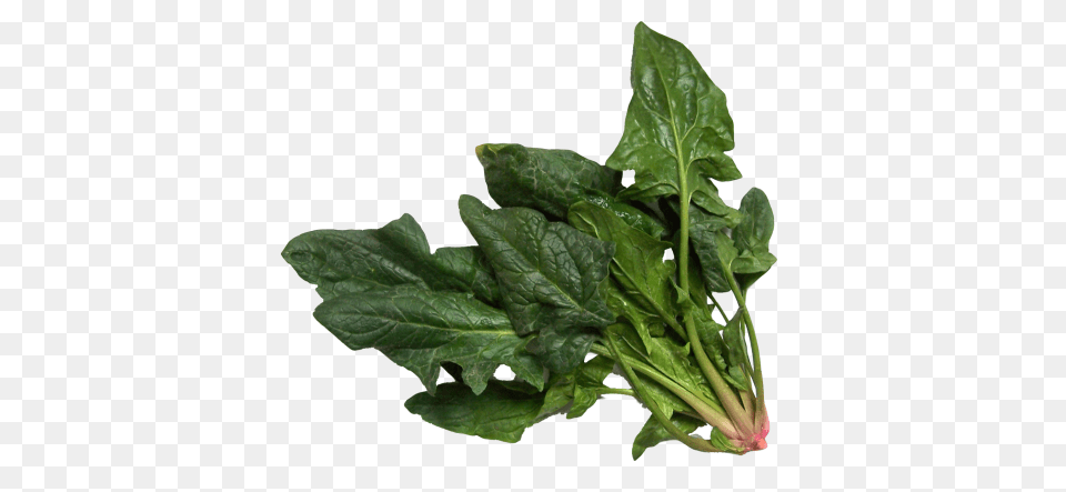 Spinach, Food, Leafy Green Vegetable, Plant, Produce Free Png Download