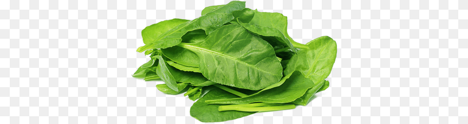 Spinach, Food, Produce, Leafy Green Vegetable, Plant Free Png Download