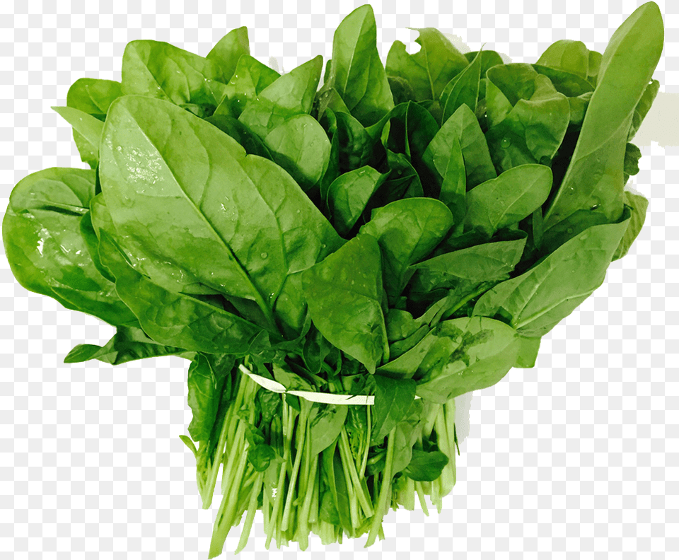 Spinach, Food, Leafy Green Vegetable, Plant, Produce Free Png Download