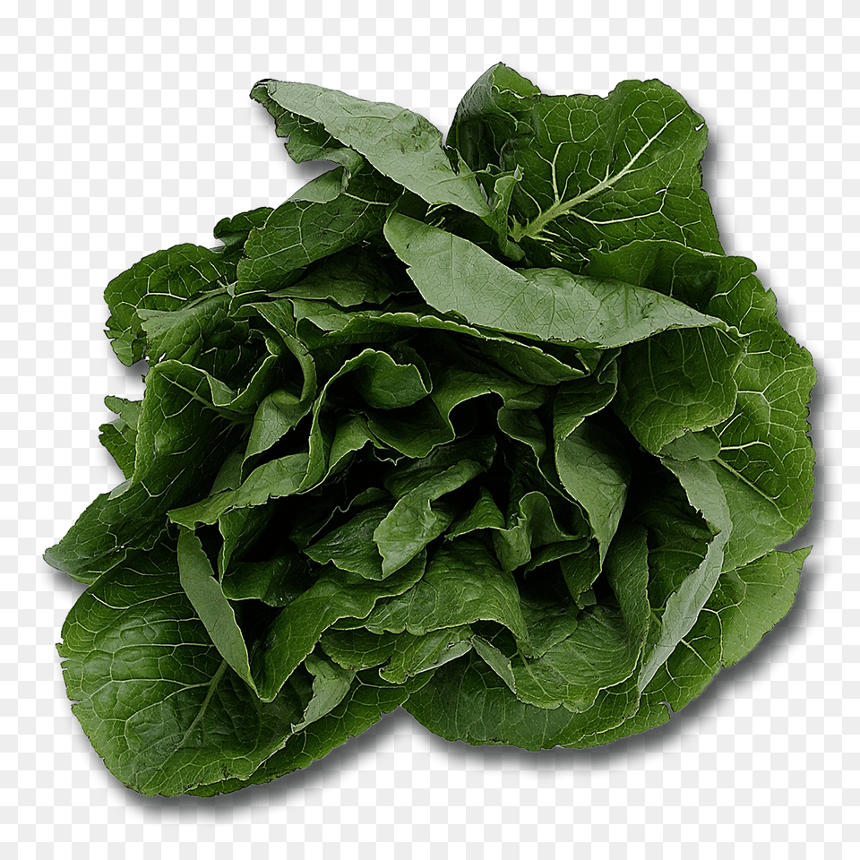 Spinach, Food, Plant, Produce, Leafy Green Vegetable Free Png