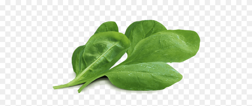 Spinach, Food, Leafy Green Vegetable, Plant, Produce Png Image