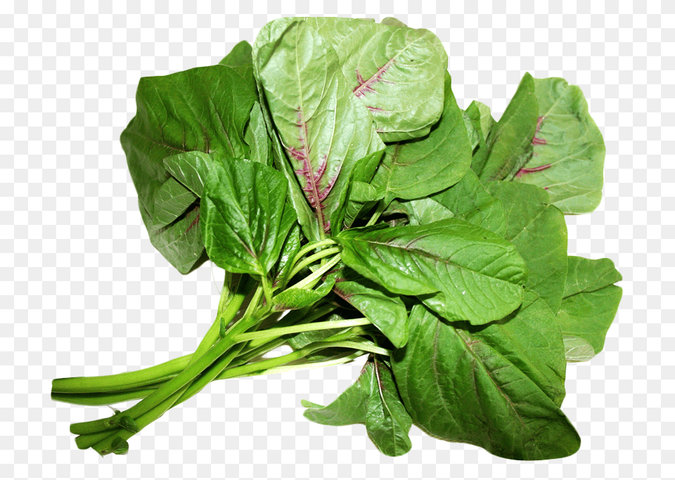 Spinach, Plant, Food, Leaf, Leafy Green Vegetable Png