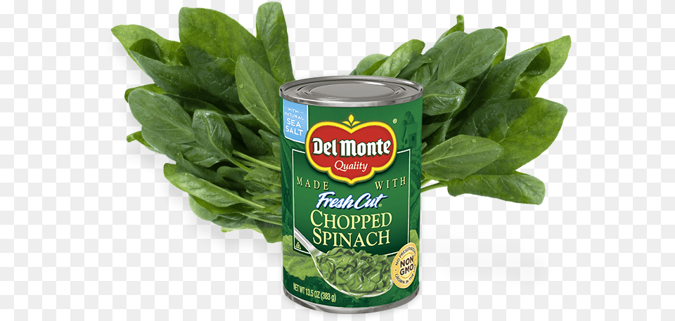 Spinach 3 Monte, Food, Leafy Green Vegetable, Plant, Produce Png Image