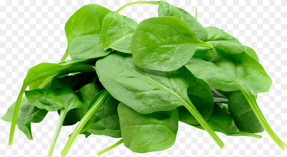 Spinach, Food, Leafy Green Vegetable, Plant, Produce Png