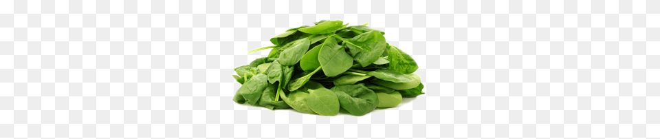 Spinach, Food, Leafy Green Vegetable, Plant, Produce Free Png Download