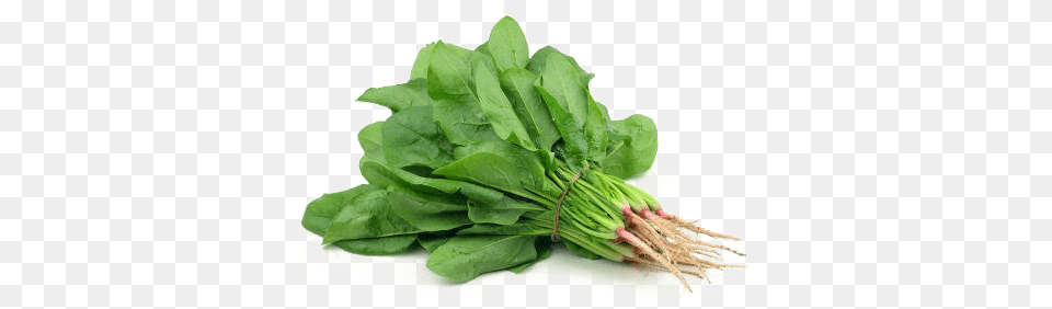 Spinach, Food, Leafy Green Vegetable, Plant, Produce Png Image