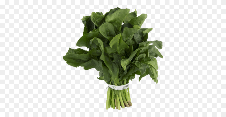 Spinach, Plant, Food, Produce, Leafy Green Vegetable Free Png