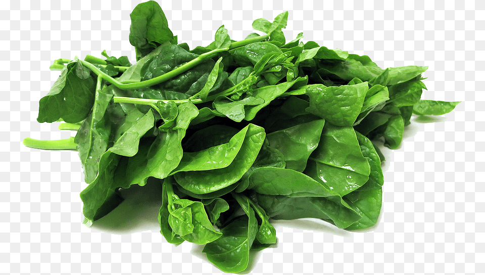 Spinach, Food, Leafy Green Vegetable, Plant, Produce Png