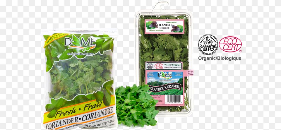Spinach, Herbs, Plant, Parsley, Food Free Png