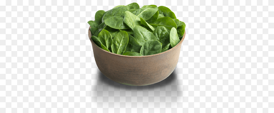 Spinach, Food, Leafy Green Vegetable, Plant, Produce Png