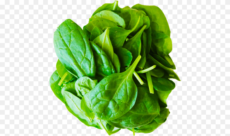 Spinach, Food, Leafy Green Vegetable, Plant, Produce Png Image