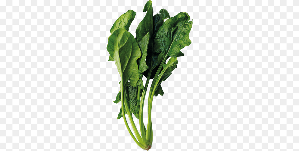 Spinach, Food, Leafy Green Vegetable, Plant, Produce Free Transparent Png