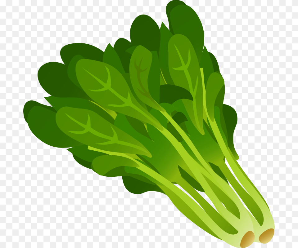 Spinach, Food, Plant, Produce, Leafy Green Vegetable Free Transparent Png
