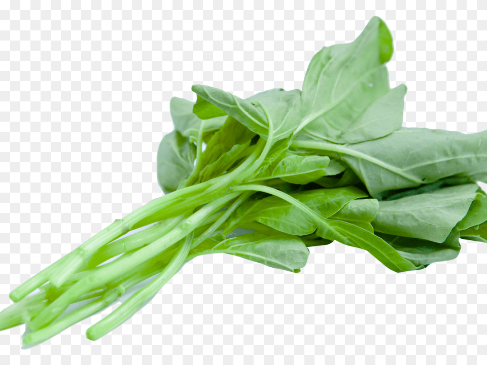 Spinach, Food, Leafy Green Vegetable, Plant, Produce Free Transparent Png