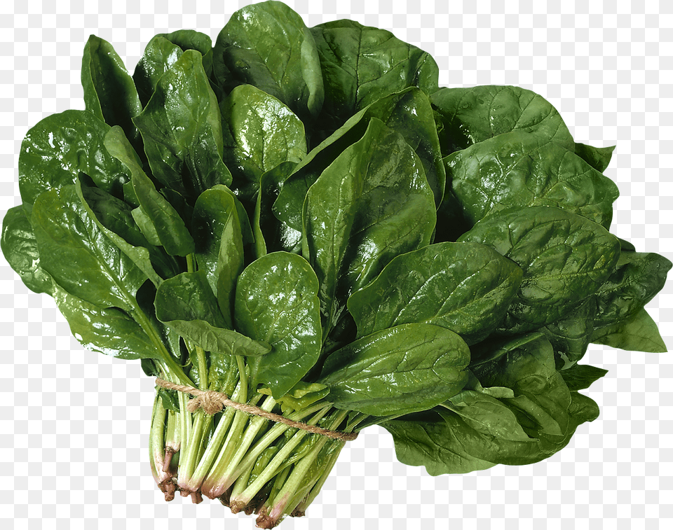 Spinach, Food, Leafy Green Vegetable, Plant, Produce Free Transparent Png