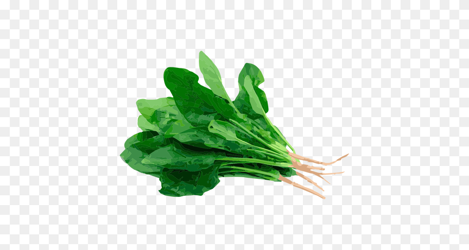 Spinach, Food, Leafy Green Vegetable, Plant, Produce Free Png Download