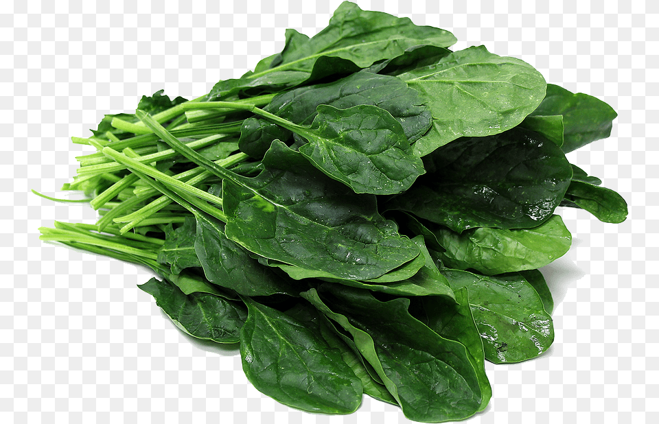 Spinach, Food, Leafy Green Vegetable, Plant, Produce Free Png