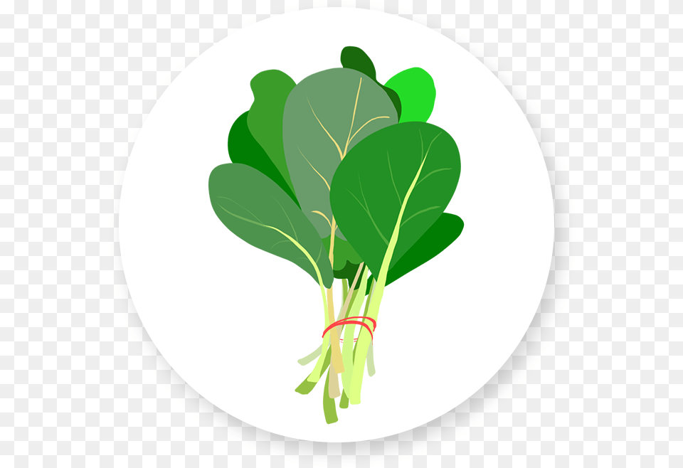 Spinach Chard, Food, Leafy Green Vegetable, Plant, Produce Png