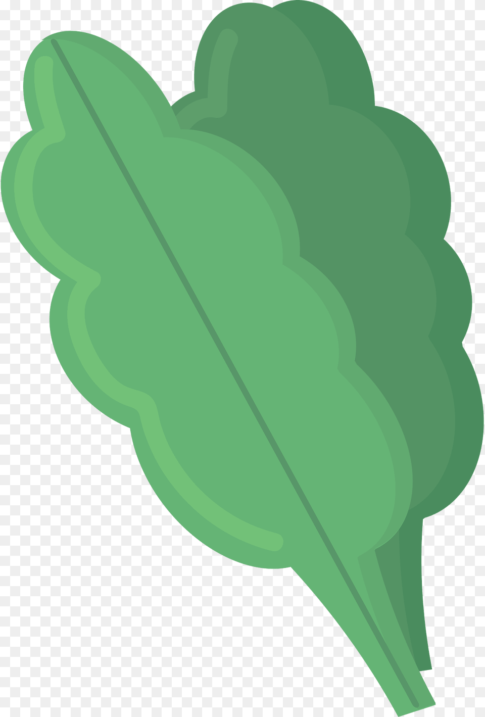 Spinach Clipart, Leaf, Plant, Green, Food Free Png