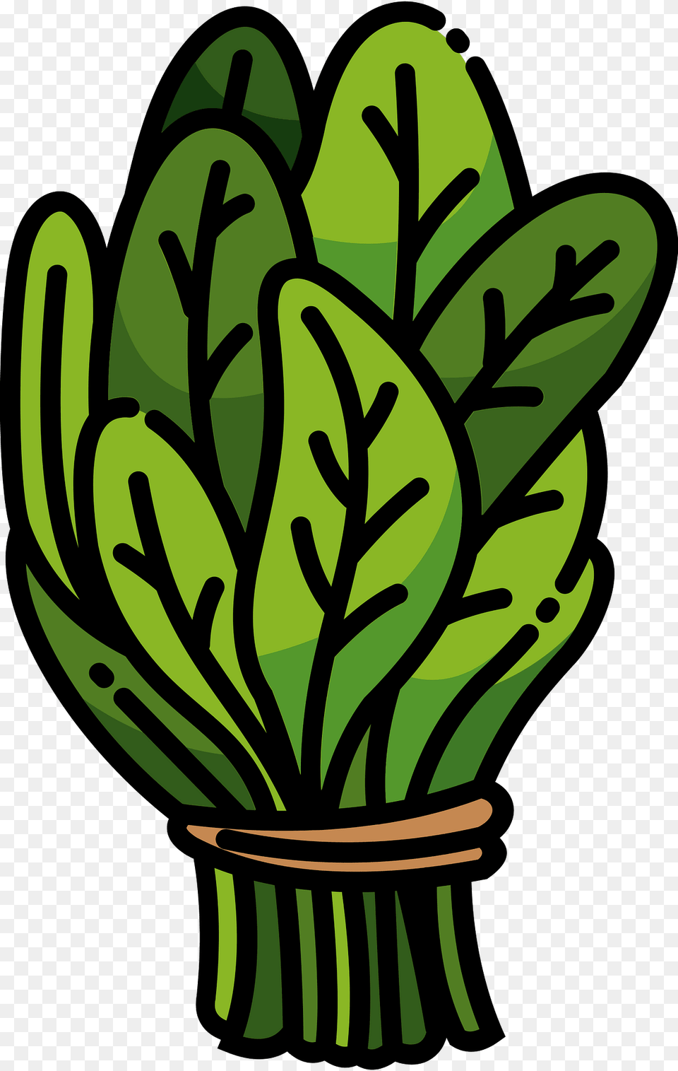 Spinach Clipart, Food, Leafy Green Vegetable, Plant, Produce Png