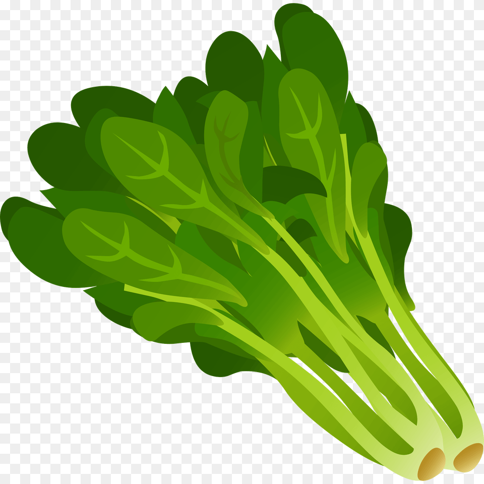 Spinach Clipart, Food, Produce, Leafy Green Vegetable, Plant Free Png