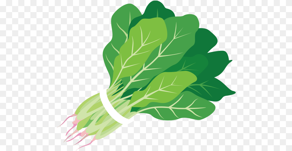 Spinach Clipart Clipartxtras, Food, Leafy Green Vegetable, Plant, Produce Png