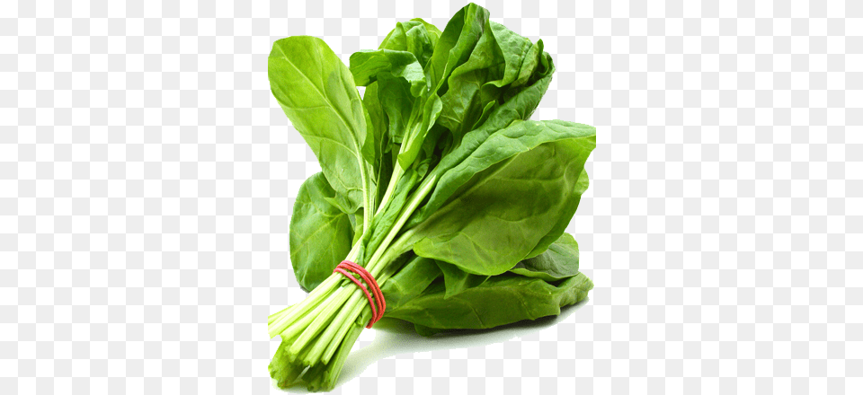 Spinach Spinach Vegetable, Food, Leafy Green Vegetable, Plant, Produce Free Png Download