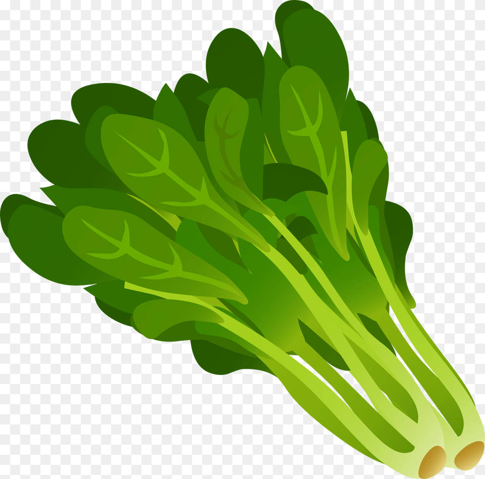 Spinach Green Leafy Vegetables Clipart, Food, Plant, Produce, Leafy Green Vegetable Free Transparent Png