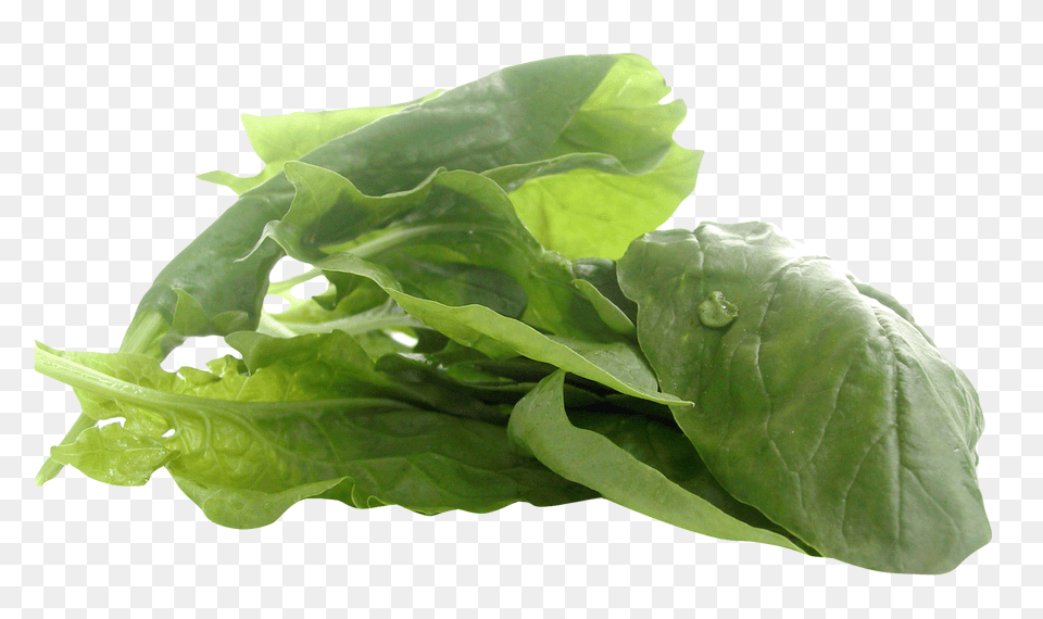 Spinach Image, Food, Plant, Produce, Leafy Green Vegetable Free Png Download