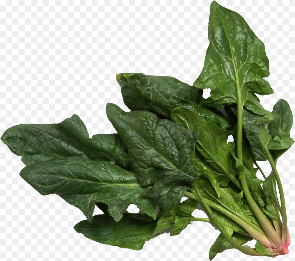 Spinach Image, Food, Leafy Green Vegetable, Plant, Produce Free Png