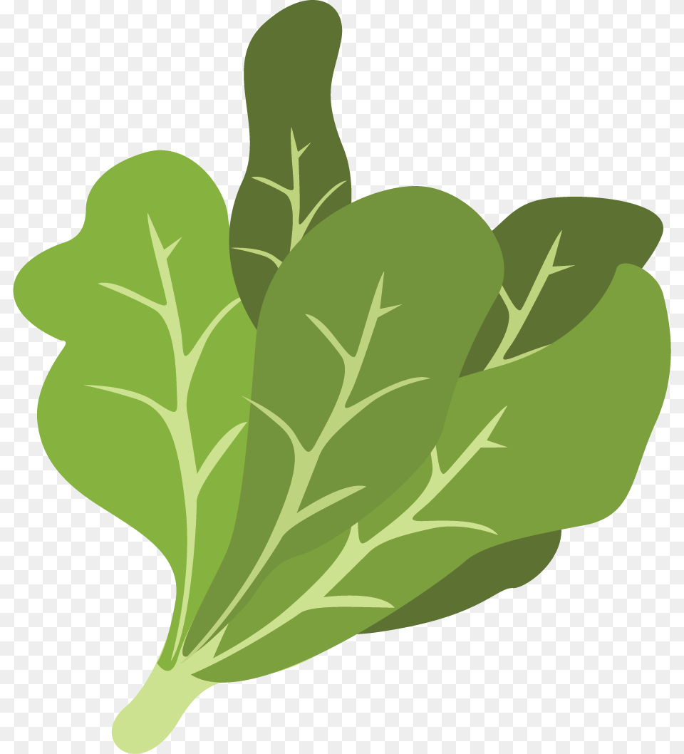 Spinach Leaf, Food, Leafy Green Vegetable, Plant, Produce Free Png