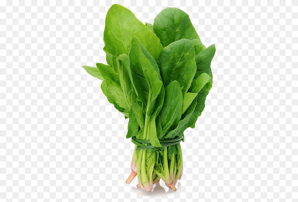 Spinach Leaf, Food, Leafy Green Vegetable, Plant, Produce Png Image