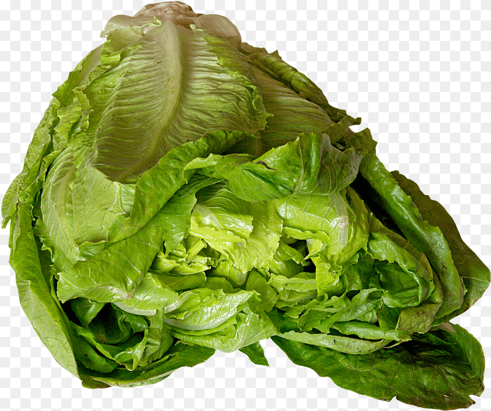 Spinach Leaf, Food, Lettuce, Plant, Produce Free Png Download