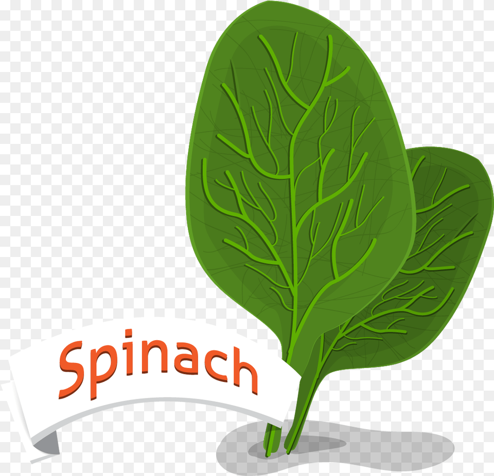 Spinach Leaf, Food, Leafy Green Vegetable, Plant, Produce Png
