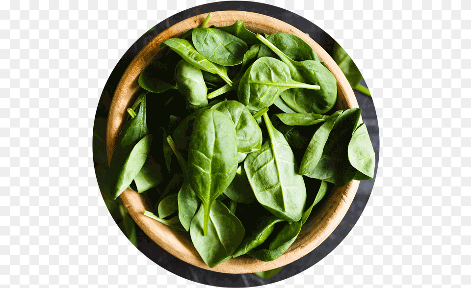 Spinach Leaf, Food, Leafy Green Vegetable, Plant, Produce Free Png Download