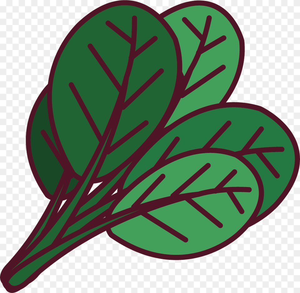 Spinach Leaf, Plant, Food, Leafy Green Vegetable, Produce Free Png Download