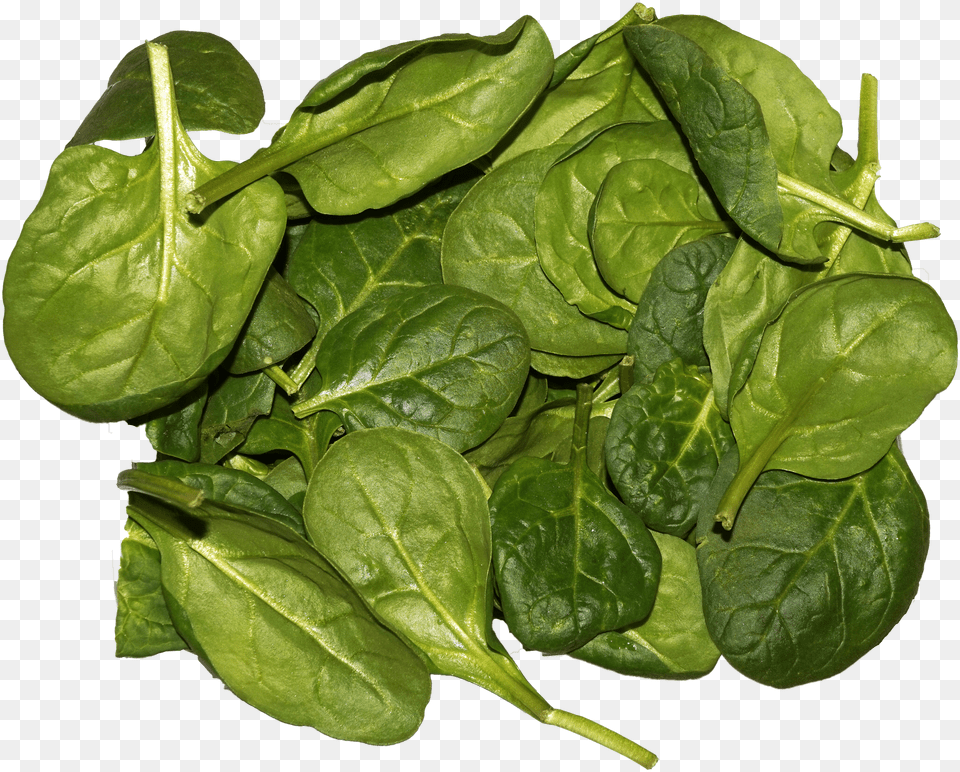 Spinach Leaves Free Png