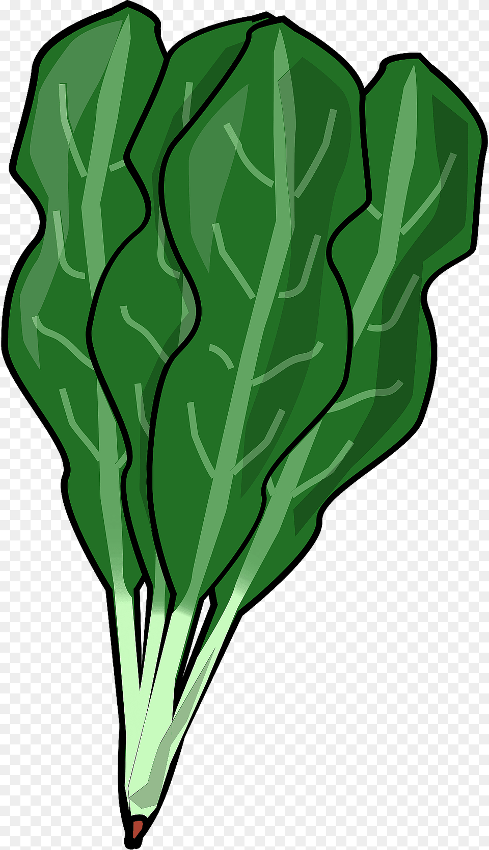 Spinach Leaves Clipart, Food, Leafy Green Vegetable, Plant, Produce Free Transparent Png