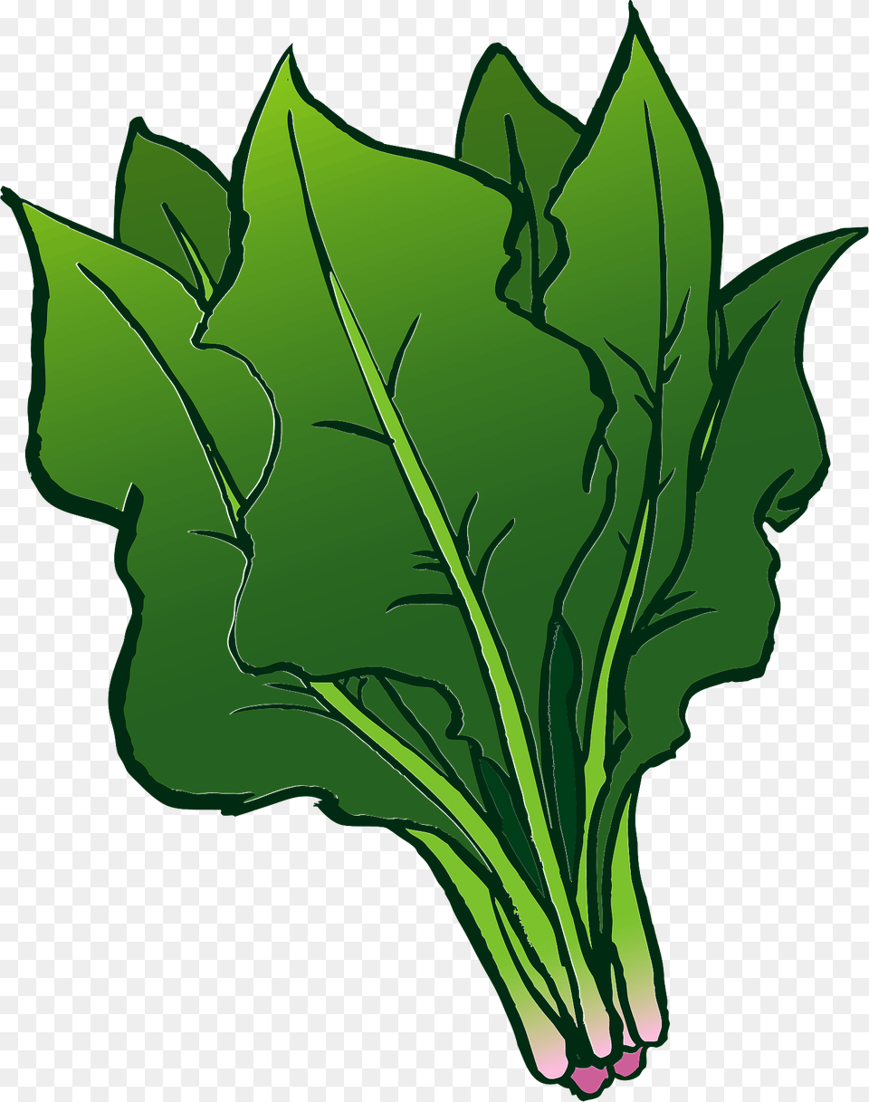 Spinach Leaves Clipart, Food, Leaf, Plant, Produce Free Transparent Png