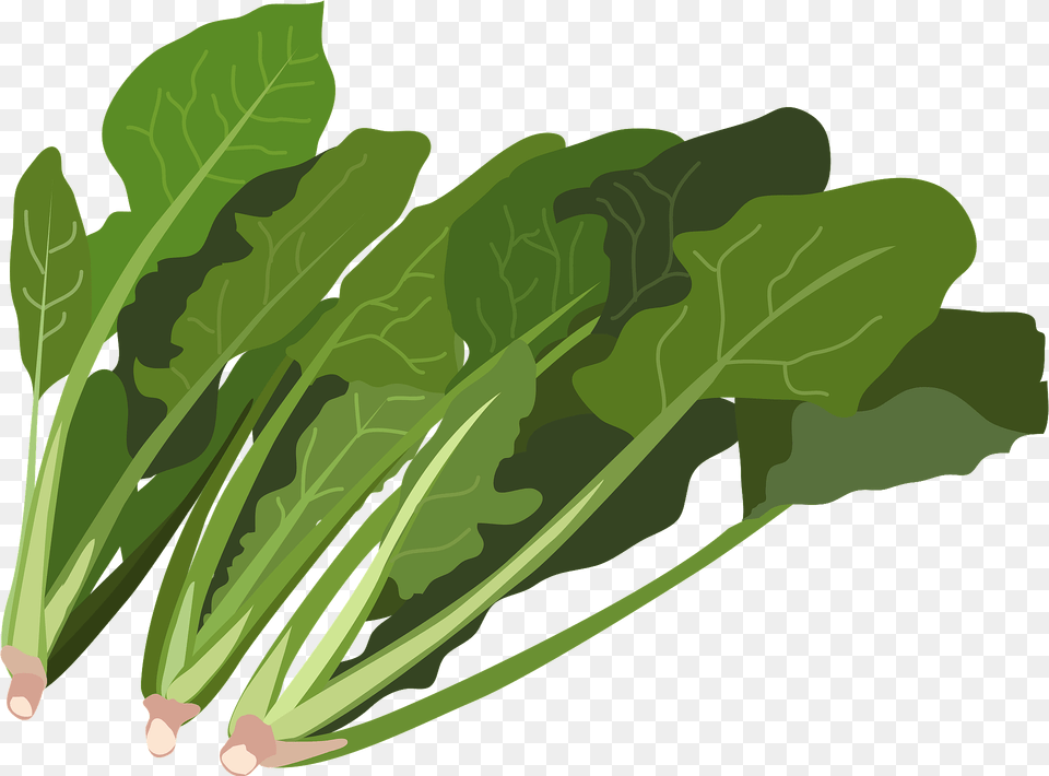 Spinach Leaves Clipart, Food, Produce, Plant, Leafy Green Vegetable Png Image