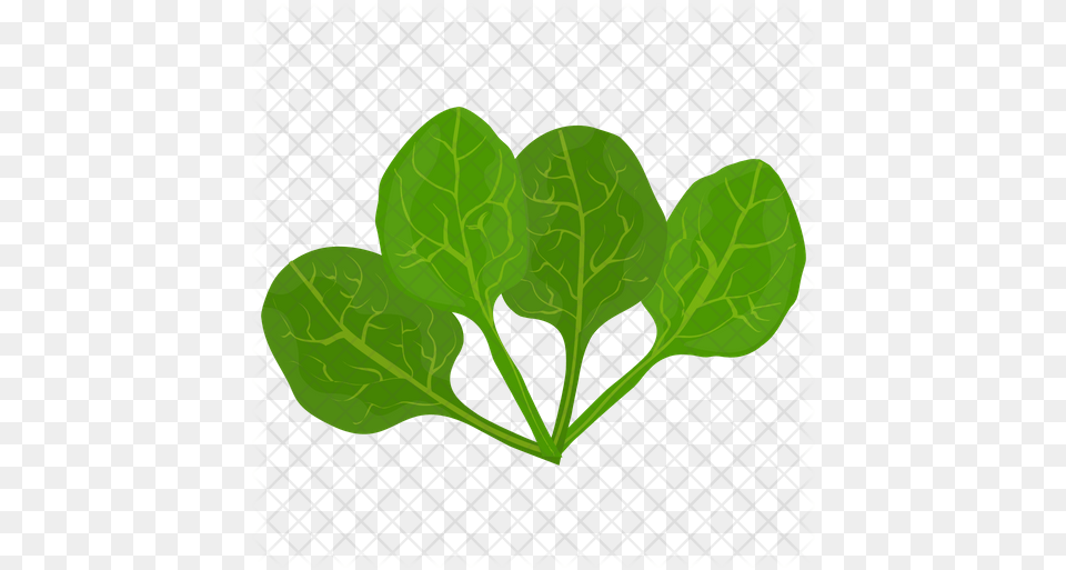 Spinach Leaves Icon Illustration, Plant, Leaf, Produce, Food Free Png