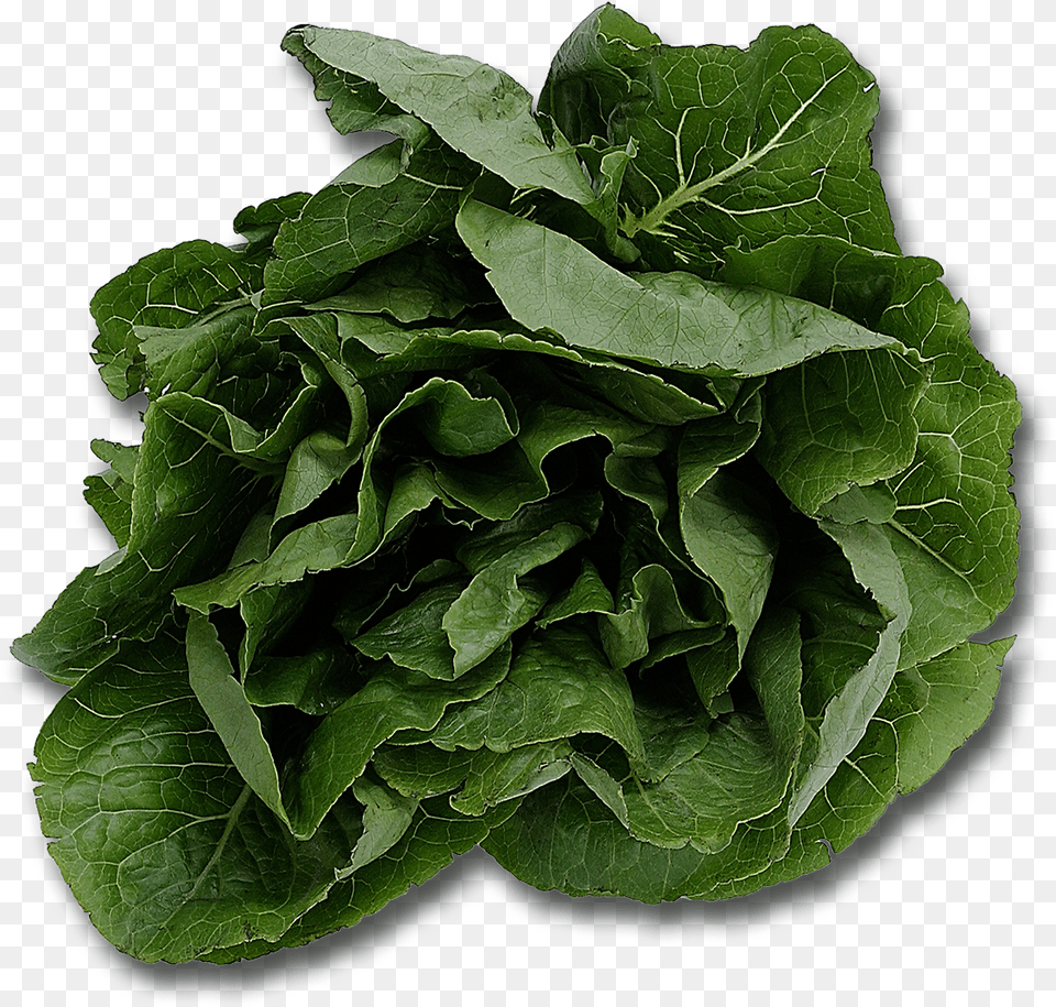 Spinach Name Five Plants That We Eat, Food, Plant, Produce, Lettuce Png