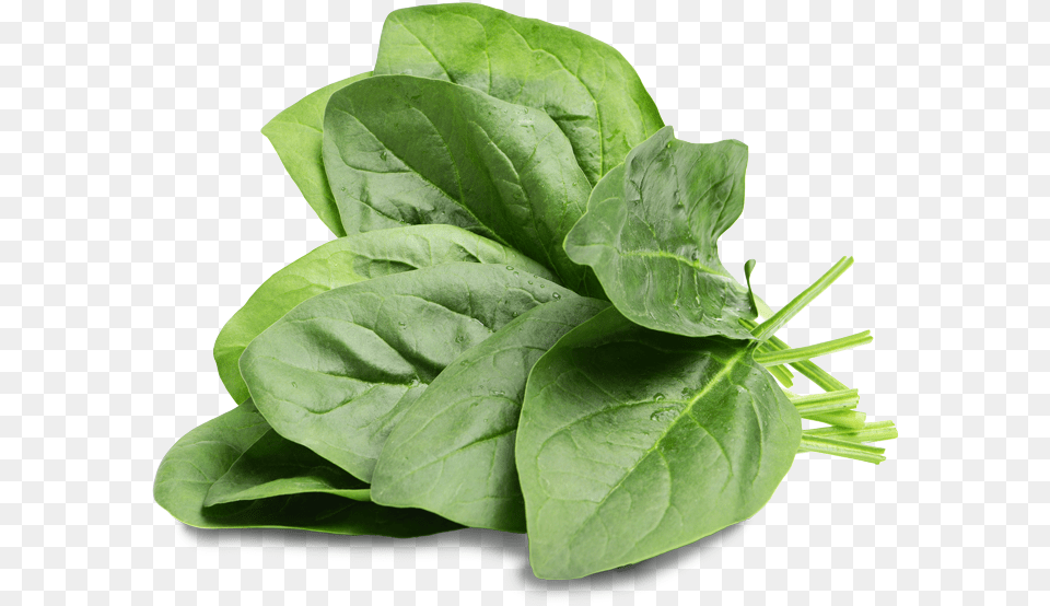 Spinach Rabbit, Food, Leafy Green Vegetable, Plant, Produce Png