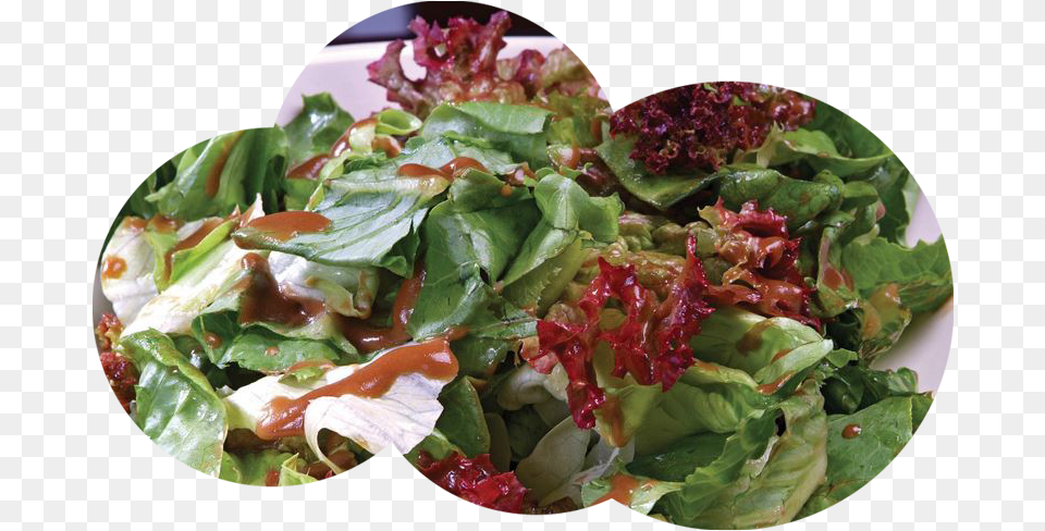 Spinach Salad, Food, Lettuce, Plant, Produce Free Png