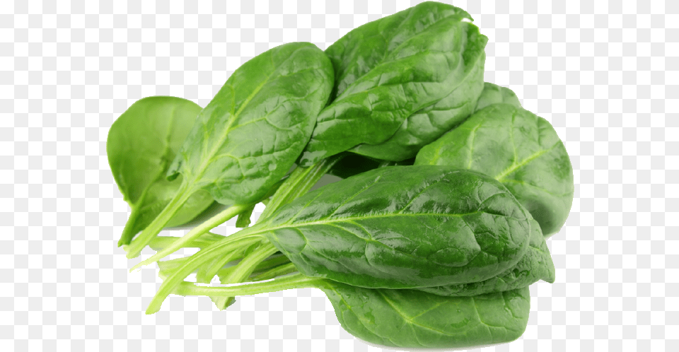 Spinach Spinach, Food, Leafy Green Vegetable, Plant, Produce Png Image