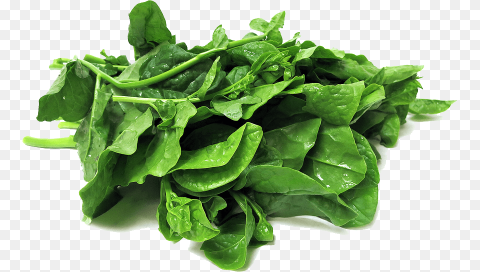 Spinach Transparent Basil Leaf, Food, Leafy Green Vegetable, Plant, Produce Free Png Download